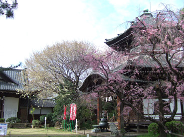 c0227728_20333951.jpg