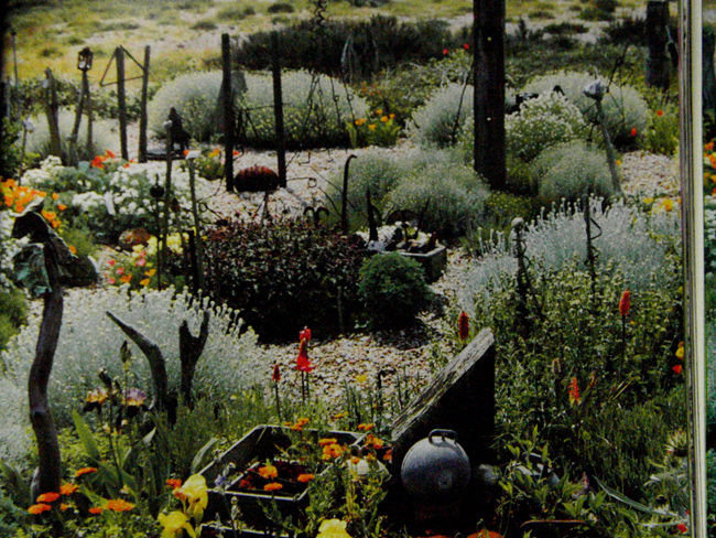 derek jarman\'s garden_f0180529_1313712.jpg