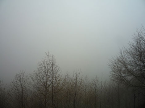 e0129137_7143750.jpg