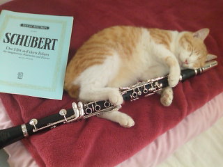 歌とピアノと Futaba Clarinet Duo ふたば