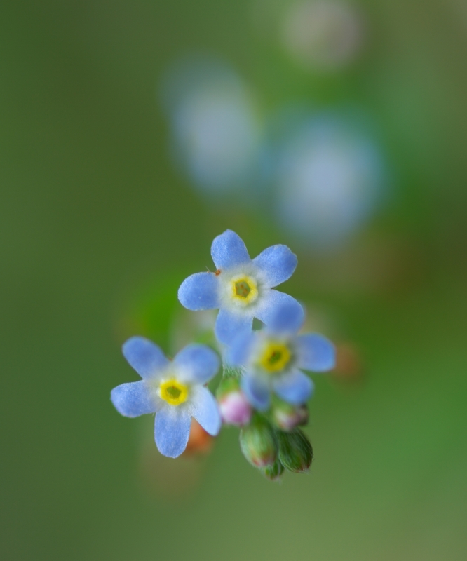 b0147449_1752433.jpg