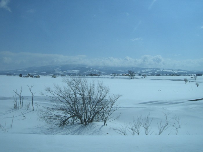 たまにはお仕事で北海道 2010.03.27-29_c0185449_09549.jpg