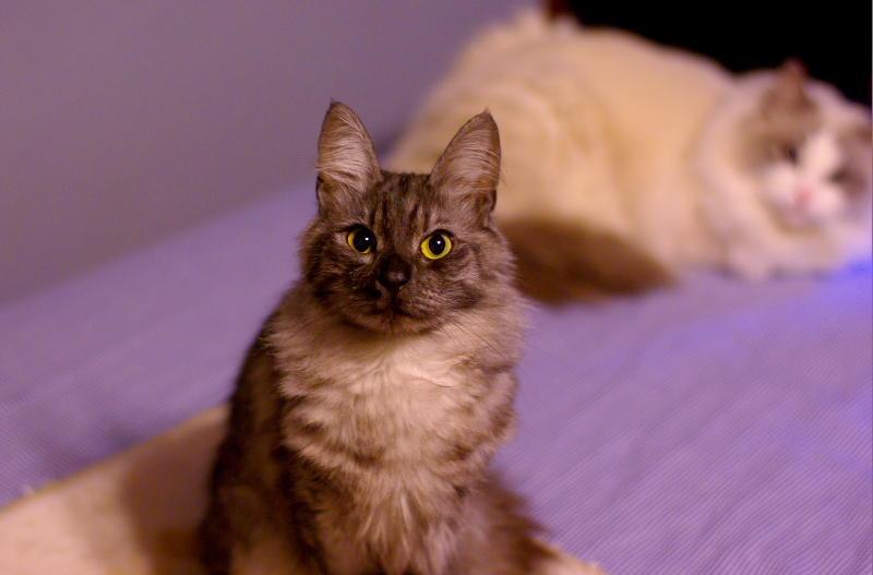 a0067056_28464.jpg