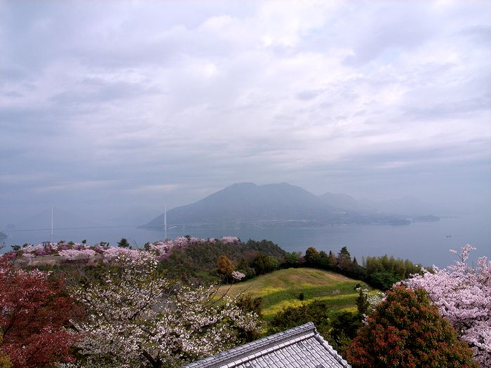 e0053660_20233857.jpg