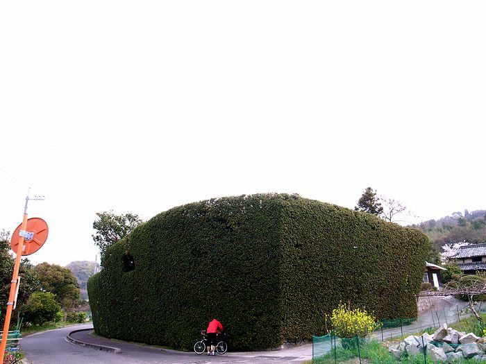 e0053660_20251224.jpg