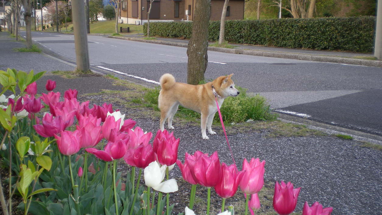 2010年4月14日(水)今日はミュージカル!_f0060461_7182742.jpg