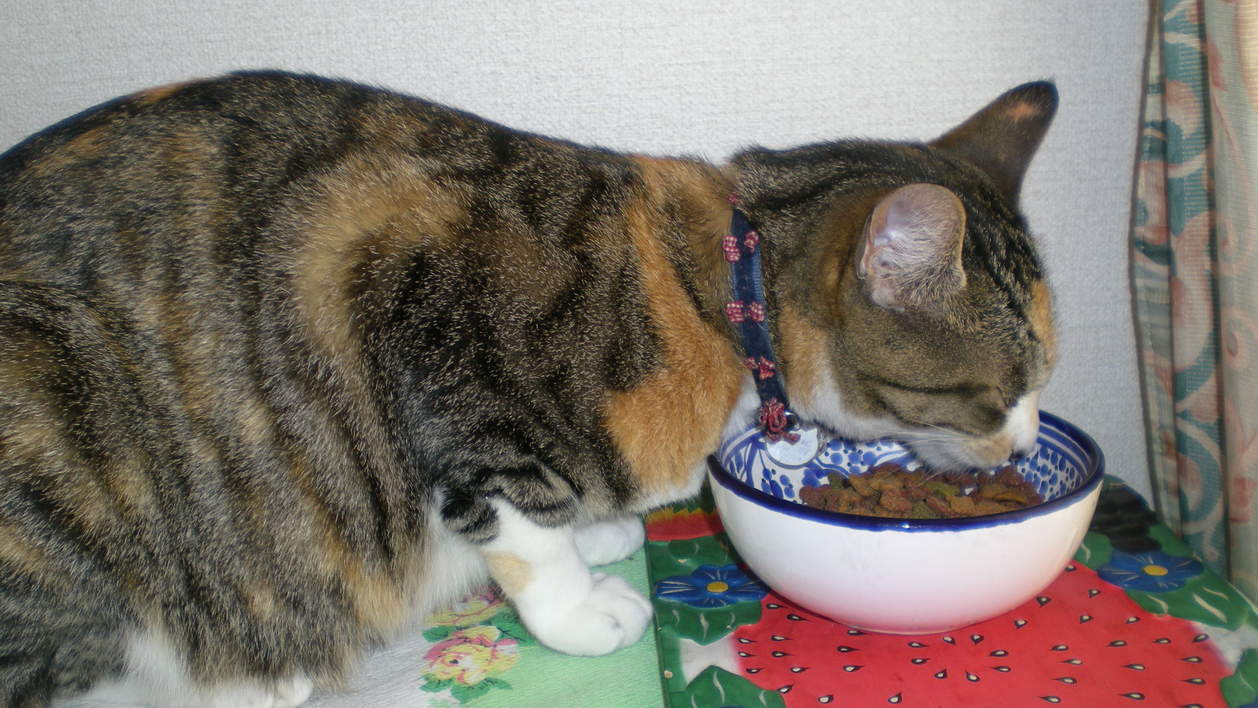 2010年4月14日(水)今日はミュージカル!_f0060461_7211781.jpg