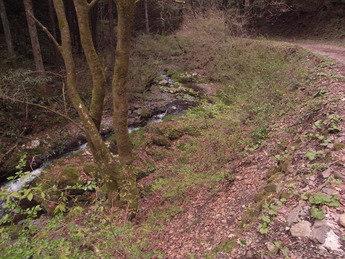 e0188962_17172067.jpg