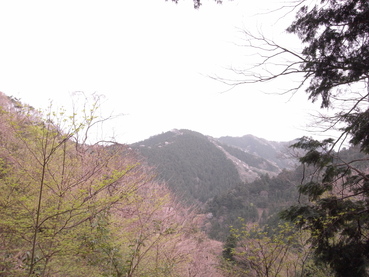 景信山_e0188962_1723226.jpg