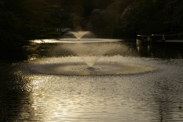 井の頭公園_b0061465_044378.jpg