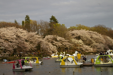 井の頭公園_b0061465_0451128.jpg