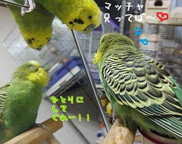 鏡のキミ、本音を語る_f0196665_0393414.jpg