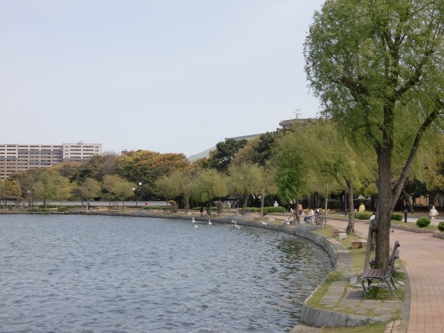 大濠公園でランチ　スタバも、もうすぐ♪_c0207868_954474.jpg