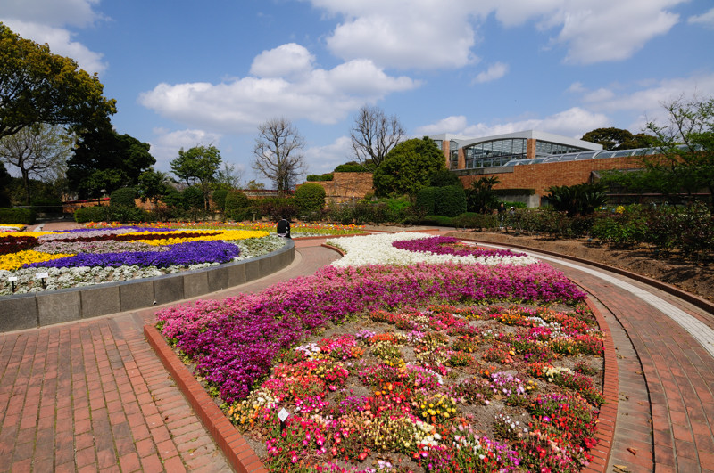 福岡市植物園リニューアル中_f0150672_333027.jpg