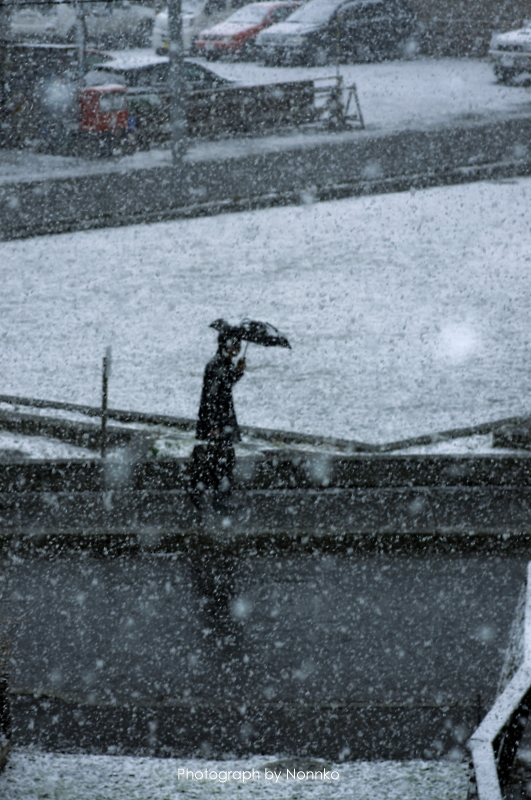 c0106977_91104.jpg