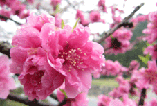 b0159780_26192.gif