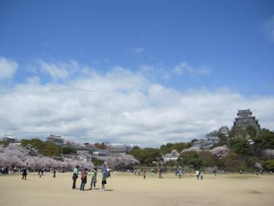 姫路城の桜をもう一度_c0131981_23103599.jpg
