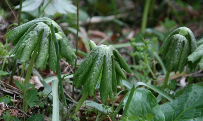 c0144185_17374493.jpg