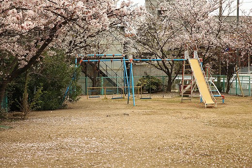 砂走遊園_e0190885_19162158.jpg