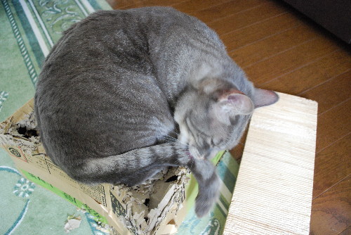 c0132387_201233100.jpg