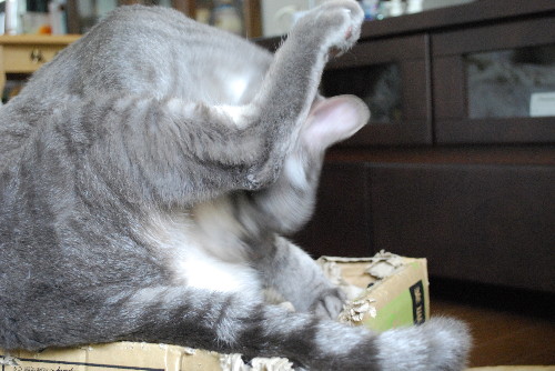 c0132387_20125745.jpg