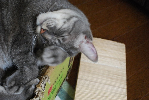 c0132387_20132351.jpg