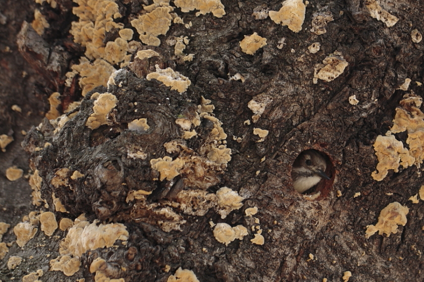e0195693_30309.jpg
