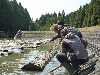 収穫が始まりました。_f0060500_12253213.jpg