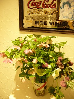 頂いたお花達_a0123703_18193729.jpg