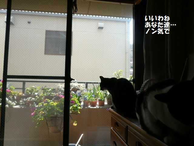 e0094407_16135123.jpg