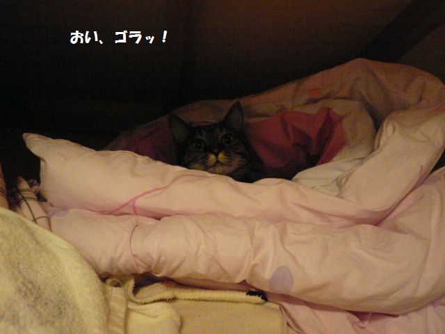 e0094407_16195371.jpg