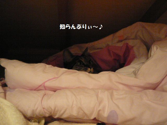 e0094407_16205963.jpg