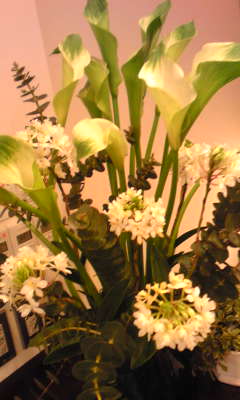 c0180209_1001519.jpg