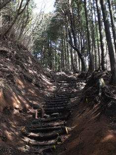 一人登山 丹沢_e0000910_20234127.jpg