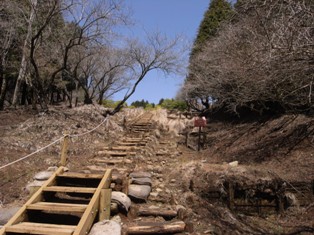 一人登山 丹沢_e0000910_2026430.jpg