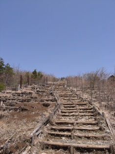 一人登山 丹沢_e0000910_2028025.jpg