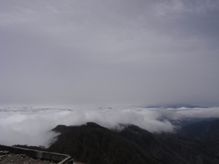 一人登山 丹沢_e0000910_20333275.jpg