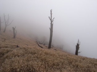 一人登山 丹沢_e0000910_2039477.jpg