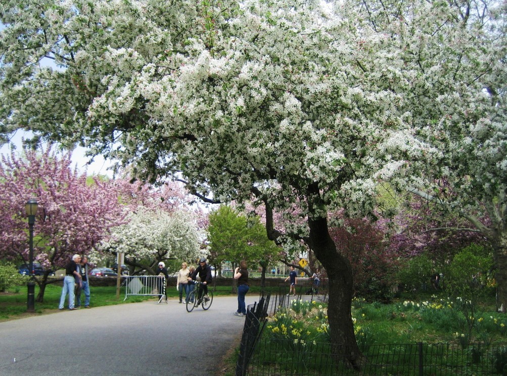 e0196912_756363.jpg
