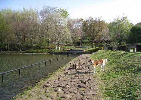 c0084117_1905511.jpg
