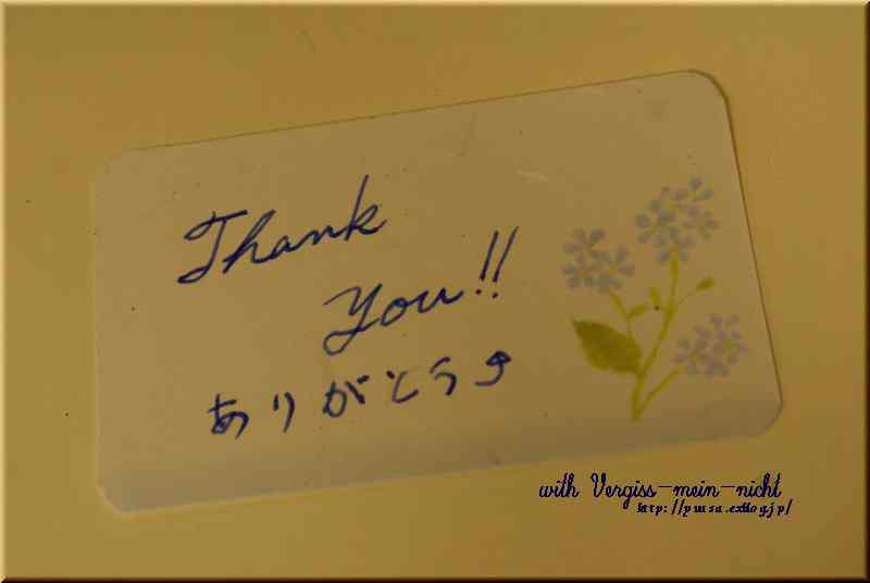 Forget-me-not_f0156117_17315951.jpg
