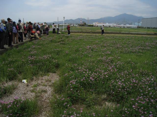 e0117318_11361031.jpg