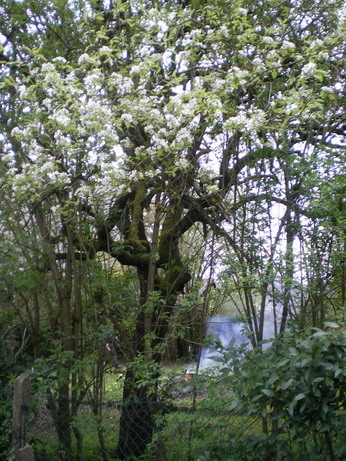 c0124619_7145082.jpg