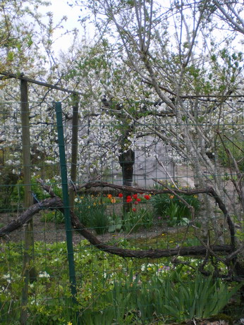 c0124619_7153657.jpg