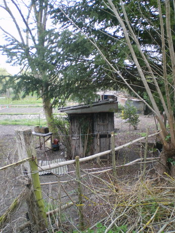 c0124619_7183217.jpg