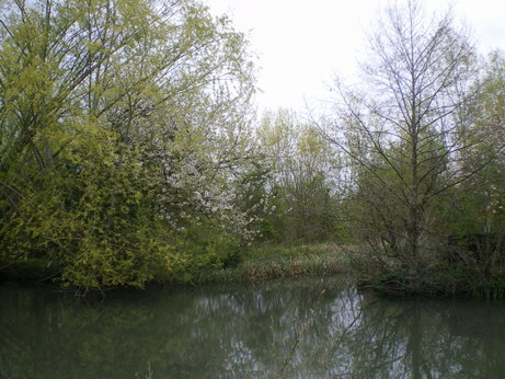 c0124619_7261177.jpg
