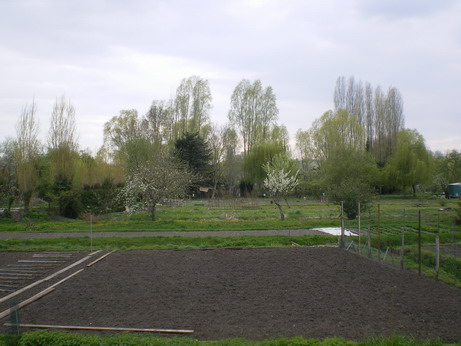 c0124619_727061.jpg