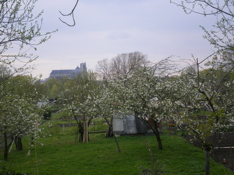 c0124619_7345187.jpg