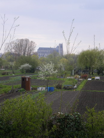 c0124619_73666.jpg