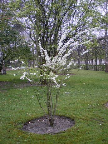 c0124619_76313.jpg